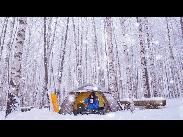 [4K] Camping in the snowy deep birch forest. Best camping ever. Trekking camping in the snow