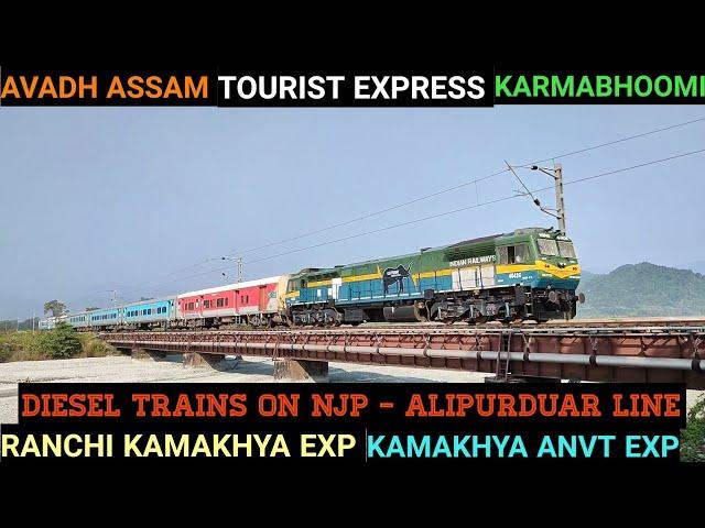 6 IN 1 Diesel Trains on New Jalpaiguri - Alipurduar Single Line Section || Diesel Power