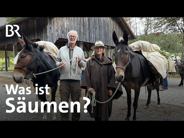 Wandern wie früher - Lasten transportieren mit Muli und Pferd | Zwischen Spessart und Karwendel | BR