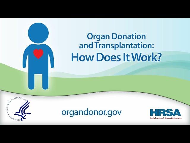 Organ Donation and Transplantation: How Does it Work?