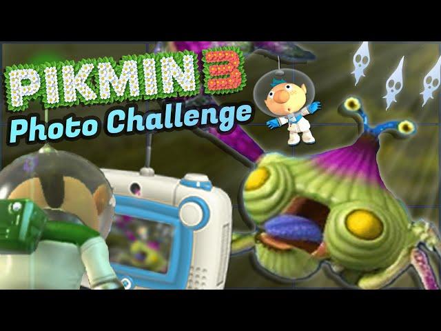 Pikmin 3: The Photo School Challenge (Supercut)