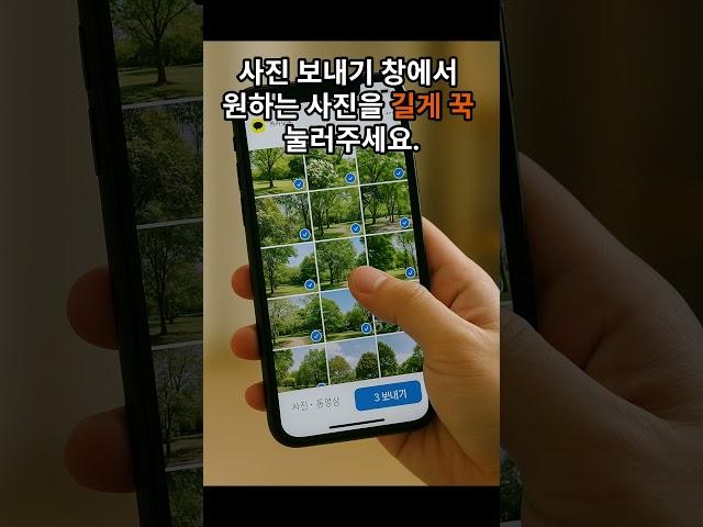 카카오톡 사진 여러 장 한 번에 보내는 꿀팁 #시니어 #카톡