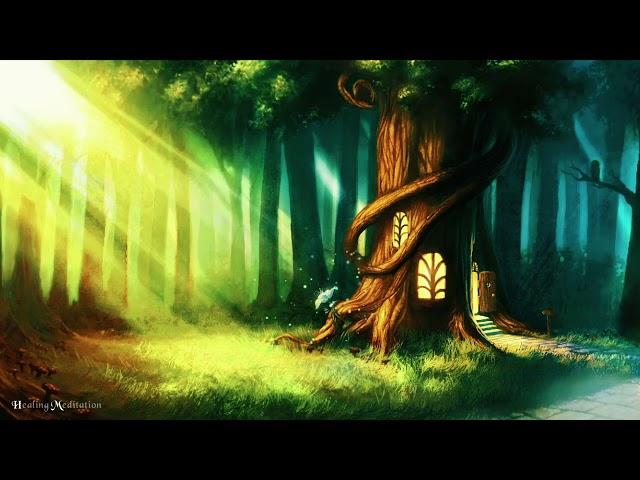 444Hz Miracle Forest HealingㅣManifest MiraclesㅣRaise Your Vibration