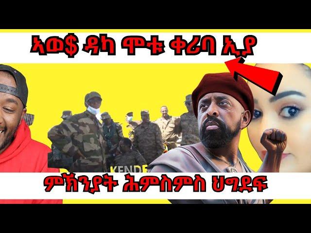 ሞኒካ ብዛዕባ ምቕንጻል ለፍላፊ ናይ ህግደፍ ዝተዛረበቶ፣ ህግደፍ ብብርጌድ ንሓመዱ ዝካትዑ እንታይ ኮይኖም ዮም | Yikealo Tv