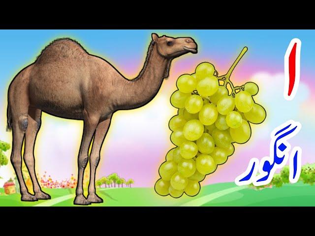 Urdu Alphabets and words | اردو حروف اور الفاظ | اردو حروف تہجی | Urdu Rhymes for Children