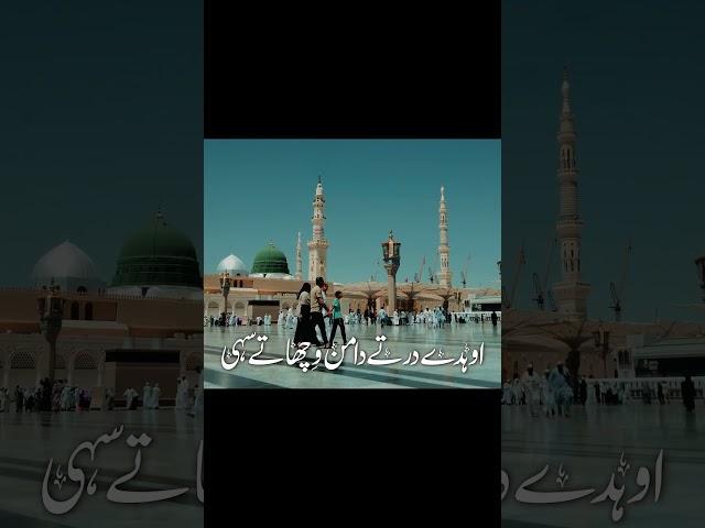 Heart Touching Rubai | kalam:M Shahab Saifi #rubai #naat #naatstatus #madina #saifi #shorts #reels