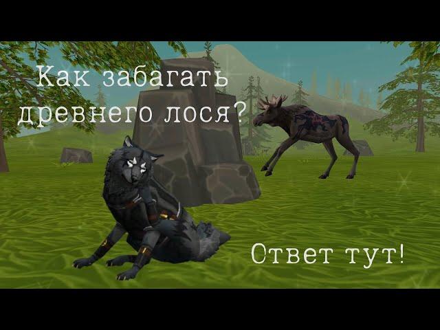 Как забагать древнего лося в Wild Craft?? Ответ тут!