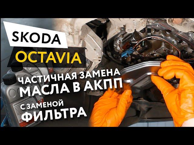 Частичная замена масла в АКПП с заменой фильтра АКПП Skoda Octavia 1,8 TSI