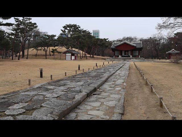 도심 속 신들의 정원 , 조선 왕릉을 걸어보다 – 선정릉