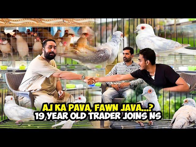 Aj Ka Pava, Fawn Java...? 19 Year Old Trader Joins NS