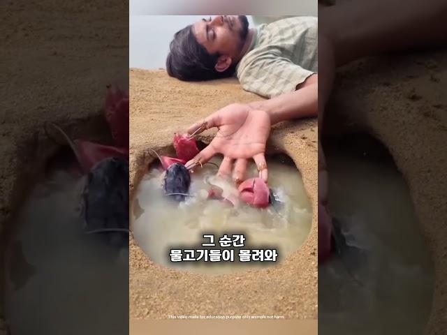 소년은 낚시를 하다가 잠들었어요