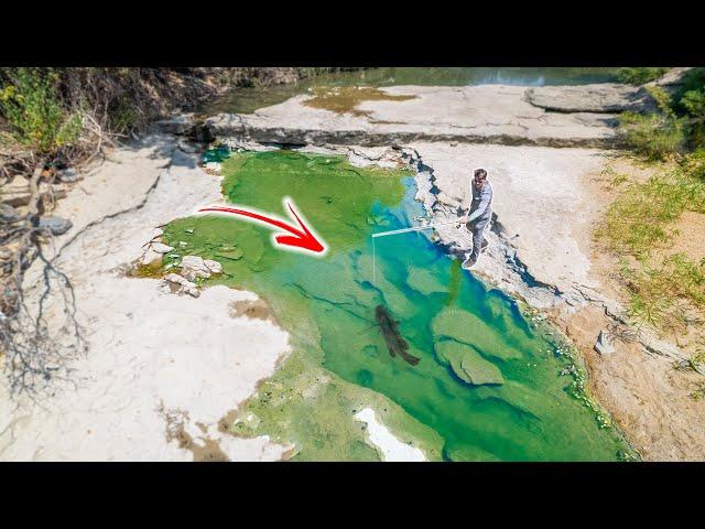 Fishing a Dying DRIED UP Creek For Trapped Fish  -- (Hidden Waters)