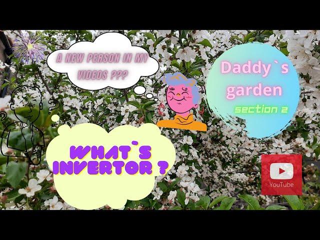 Daddy`s garden: section 2