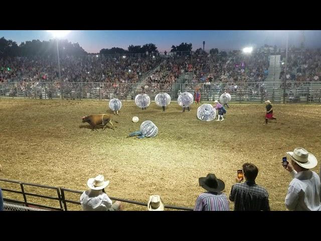 Bull Soccer 2018 Waconia Rodeo