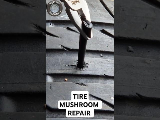How a Tire Mushroom Plug Repair Works #tirerepair #mushroomplug #tireplug #howitworks