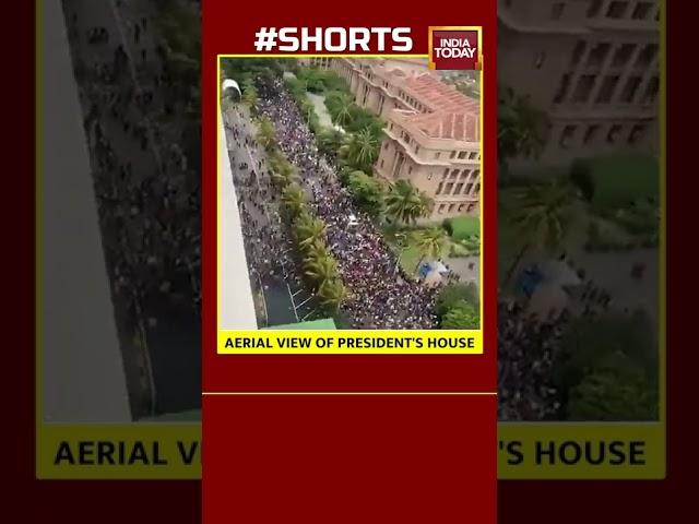 Aerial View Of Protesters Surrounding Sri Lanka President Gotabaya Rajapaksa's House #shorts #viral