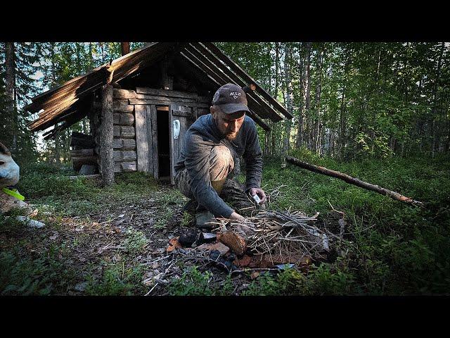 ТРИ НОЧИ В ДИКОЙ ТАЙГЕ. МЕДВЕДЬ РАЗОРИЛ СХРОН. ЗАБЛУДИЛСЯ. РЫБАЛКА.