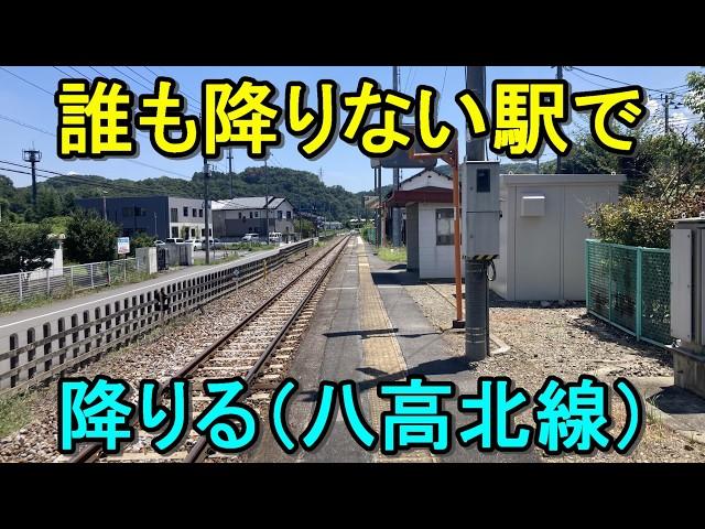 【閑散駅探索】八高北線の誰も降りない駅で強制下車！下車0人駅には何がある？