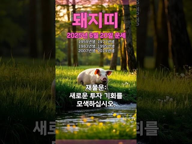 [2025년 6월 20일 돼지띠 오늘의운세] 지난 일은 자꾸 돌이키지 말고 새로운 마음을 가져라. #돼지띠 #운세 #오늘의운세 #토정비결