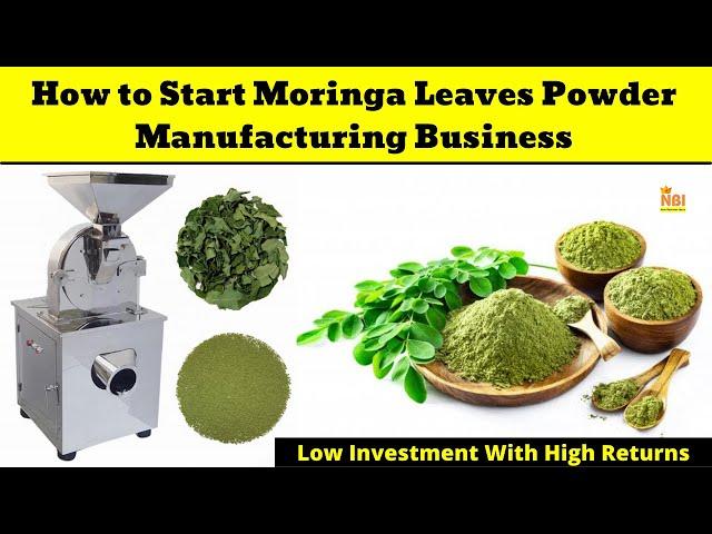 Starting a Profitable Moringa Leaves Powder Manufacturing Business - How to