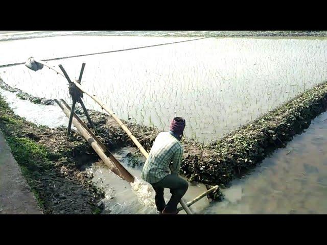 ঐতিহ্য দোন । ঢোঙ্গা  পানি সেচ ।  ডোঙ্গা।  কুন্দা | Old methods "Don" provide irrigation in the field