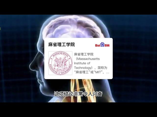 惊人发现：记忆竟刻在DNA里，长期记忆形成机制揭秘