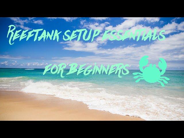 Reeftank setup essentials for beginners #saltwater #reeftank #beginners