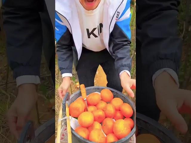 CAINA FRUIT CUTTVIDEO IN