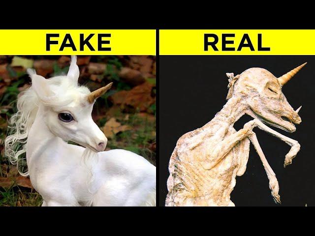 Mythical Creatures That Actually Exist In Real Life