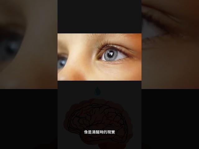 窺探夢的秘密：快速眼動睡眠行為障礙的啟示