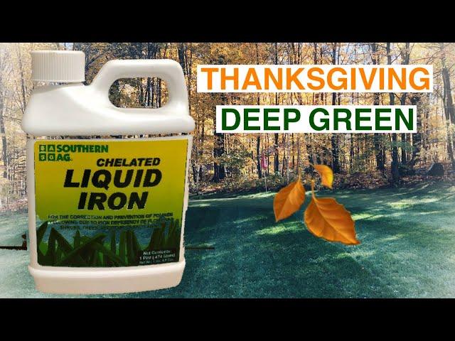 THANKSGIVING LAWN PREP//CHELATED LIQUID IRON // My son running from the drone lol