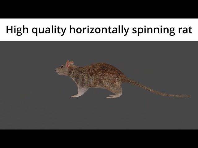 High quality horizontally spinning rat