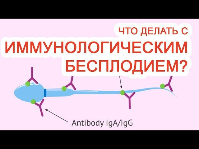 Что делать с иммунологическим бесплодием? / Доктор Черепанов