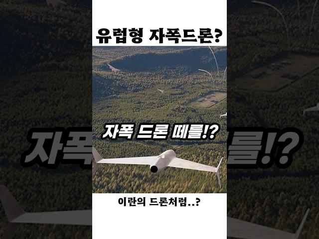 유럽, 이란식 자폭 드론 떼 준비 중!?