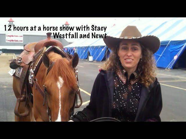12 hours at a horse show with Stacy Westfall and Newt