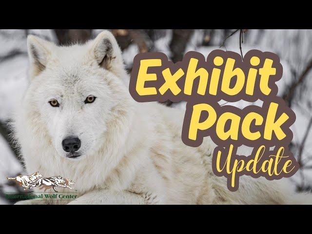 Exhibit Pack Update - 20 December 2024