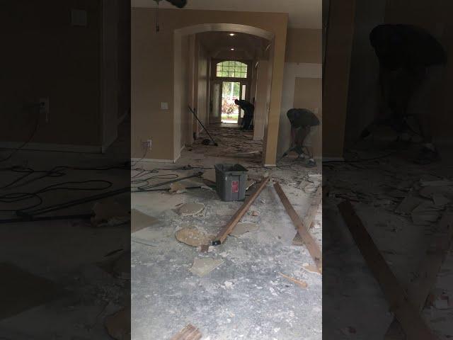 Open concept and Floor Demolition