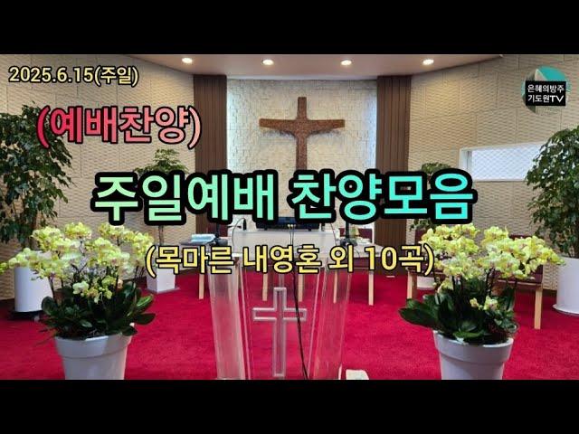 (찬양모음) 주일예배찬양  2025.6.15(주일) /  은혜의방주기도원 윤요한목사