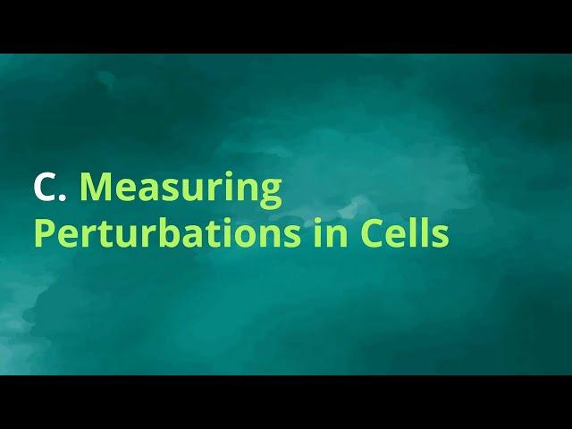 Cancer Immunotherapy DS Challenge - Lecture 2, Part  C - Tech - Measuring Perturbations in Cells