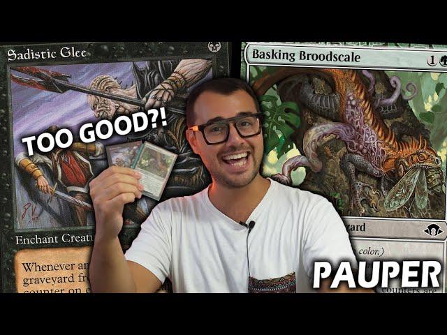 The best deck in Pauper: Jund Glee! MonoU Delver vs Jund Glee | Mtg Paper Gameplay