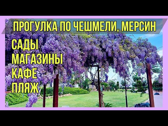 Чешмели. Мерсин. Прогулка по Чешмели. Сады, магазины, кафе, пляж, улов рыбы