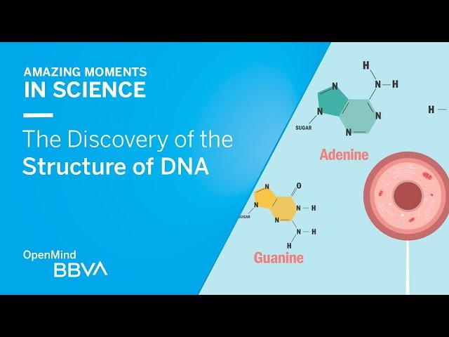 The Discovery of the Structure of DNA | AMS OpenMind