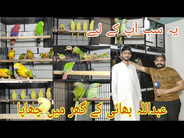 10 July 2024 Abdulla Bhai k gher py chhapa#ranapets #birds 