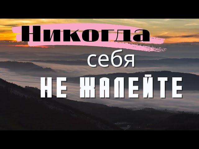 Никогда себя не жалейте - Феофан Затворник