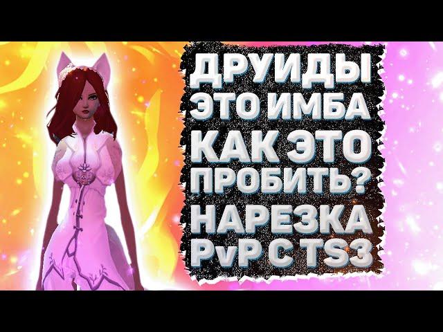 ДРУИДЫ ЭТО ИМБА, КАК ЭТО ПРОБИТЬ? НАРЕЗКА PvP С TS3 Comeback 1.4.6 Perfect World