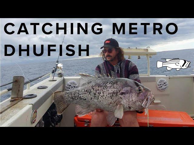 EP6F - Catching 15kg Metro Dhufish