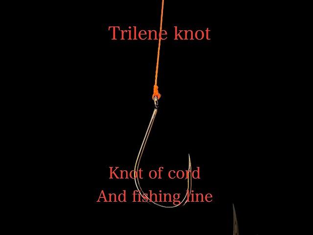The best fishing knots/рыболовный узел #fishingknot #fishing #carpfishing #рыбалканафидер #рыбалка