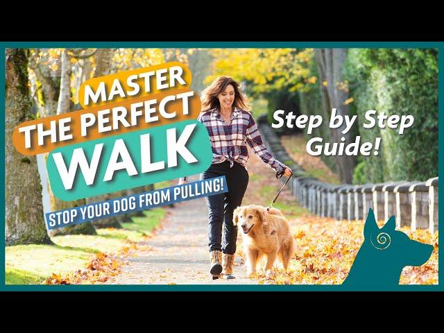 Mastering The Perfect Walk: How to STOP Your Dog From Pulling! (Step by Step)