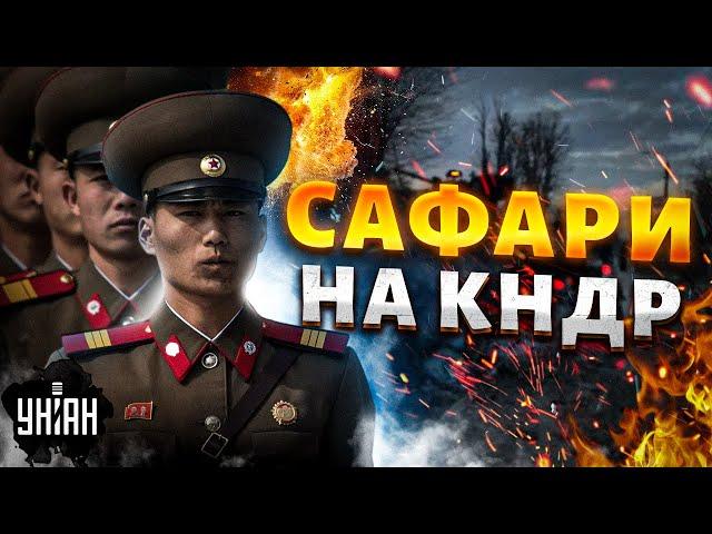 Сафари на орду КНДР: отлов корейцев в Украине начался! Встречу с ВСУ они не переживут