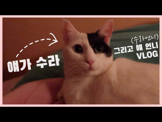 [VLOG] 얘가 바로 수라 입니다! 그리고 얘 언니의 무진장 먹고 마시는 브이로그   - 냉삼, 쭈꾸미, 백탄돈구이 첫 영접, 홍스시, 오리백숙&도토리해물파전, 오겹살